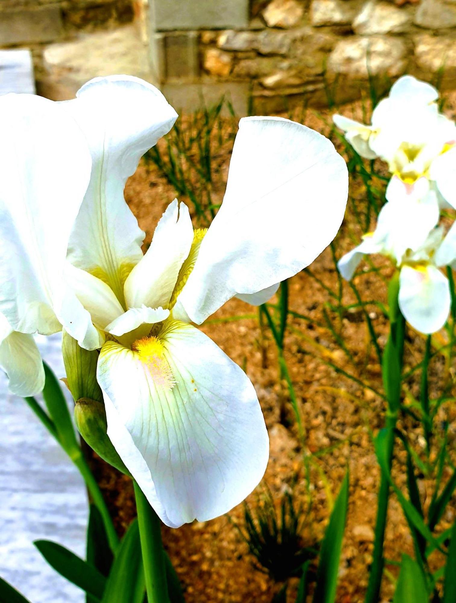 Philoxenia Guest House Himare Buitenkant foto