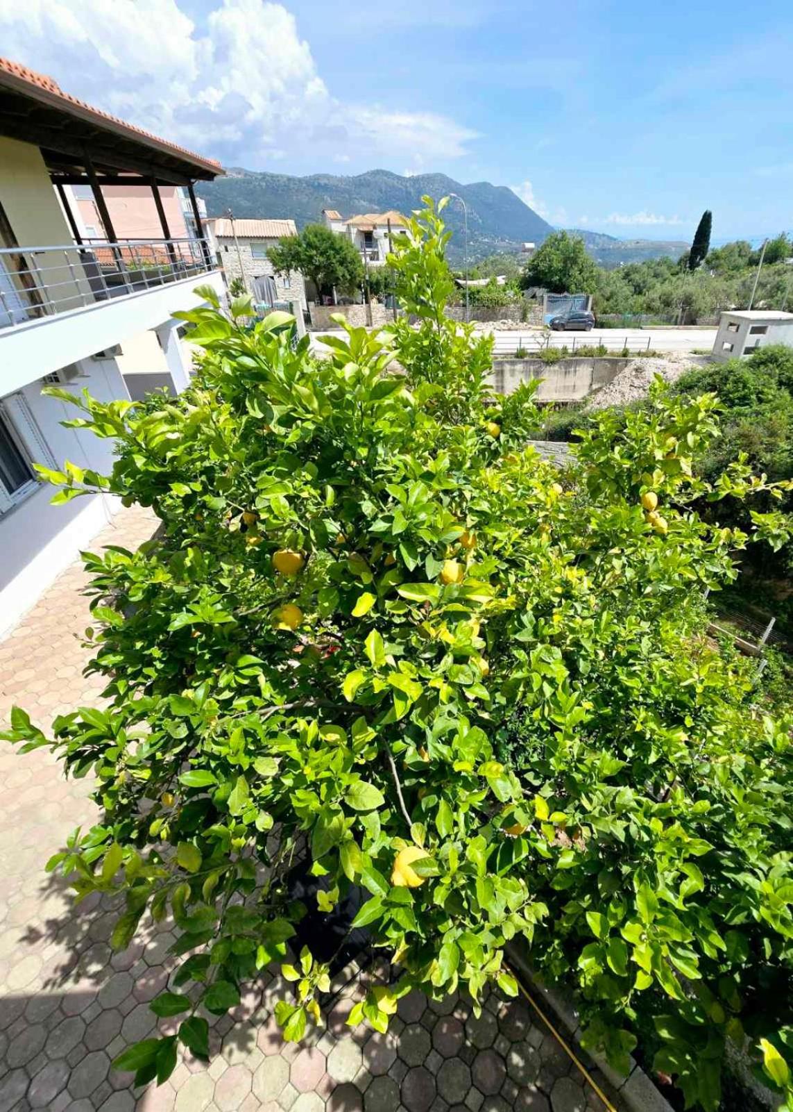 Philoxenia Guest House Himare Buitenkant foto