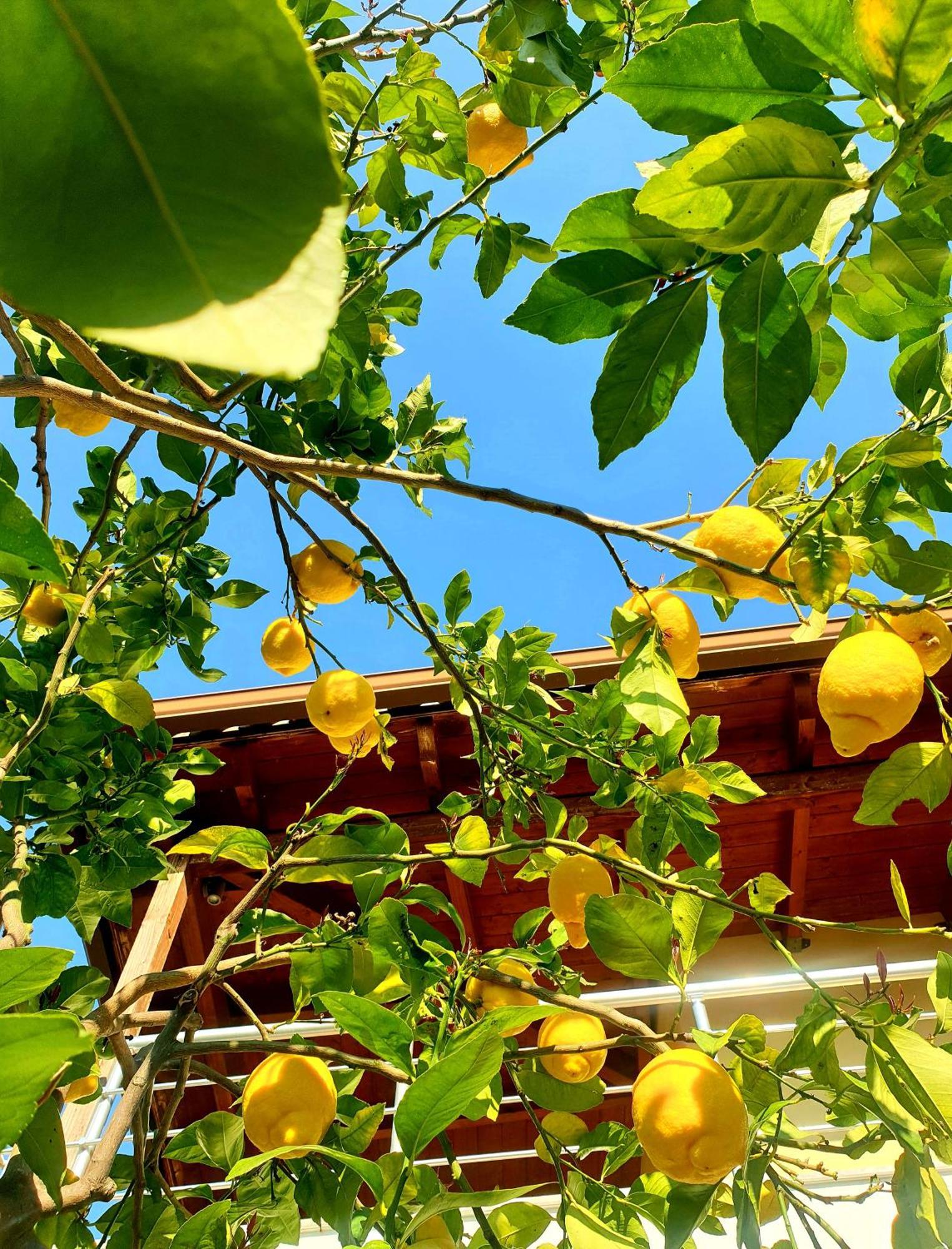 Philoxenia Guest House Himare Buitenkant foto