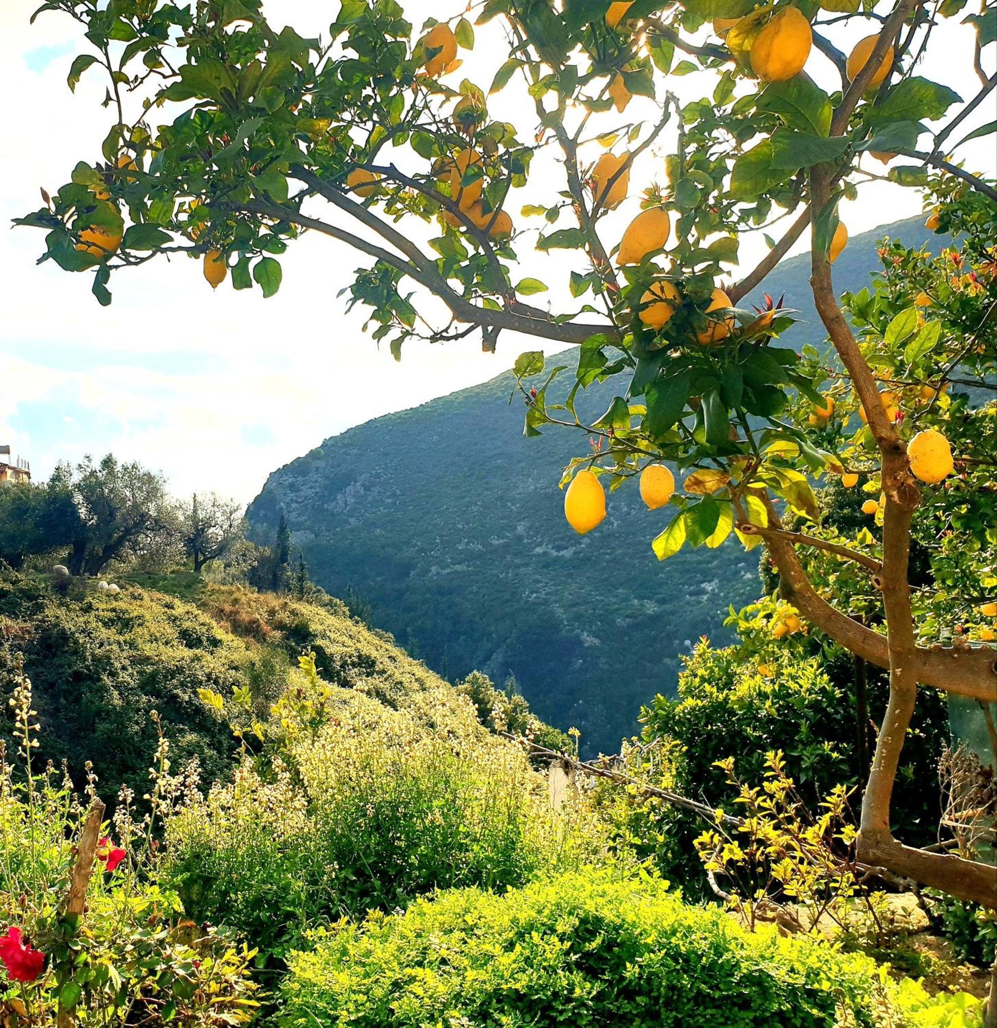 Philoxenia Guest House Himare Buitenkant foto