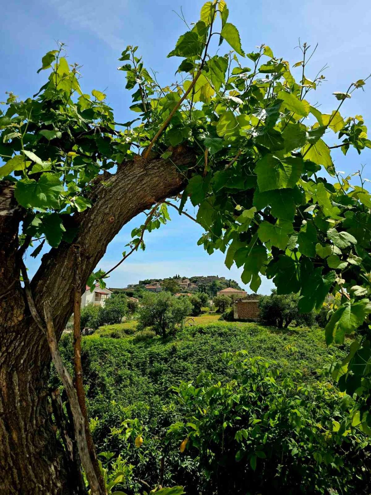 Philoxenia Guest House Himare Buitenkant foto