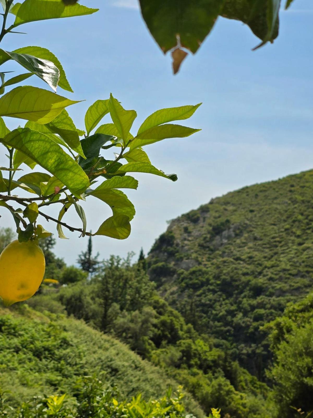 Philoxenia Guest House Himare Buitenkant foto