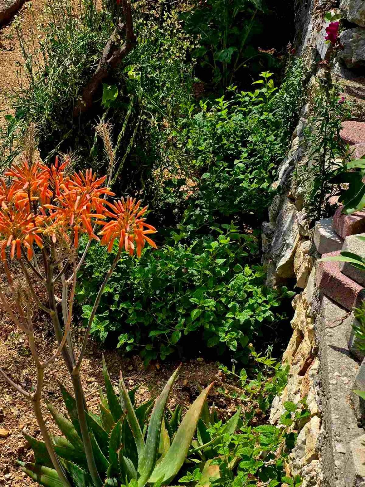 Philoxenia Guest House Himare Buitenkant foto