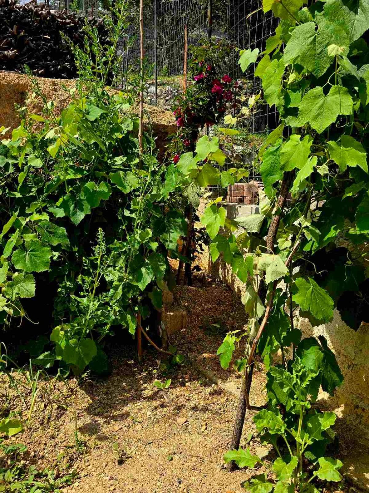 Philoxenia Guest House Himare Buitenkant foto
